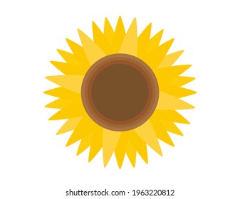 Vector illustration of sunflowers.　Summer flowers.