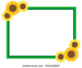 Vector illustration of sunflowers.　Summer flowers.