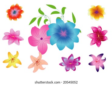 vector illustration "flowers"