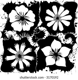 vector illustration with flowers