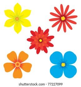 Ilustración vectorial de las flores