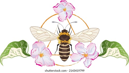 vector illustration with flowers of apple and bee (EPS10)