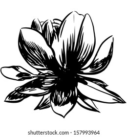 Vector illustration with flowers / black and white