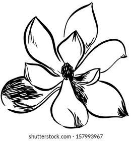 Vector illustration with flowers / black and white