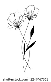 Vector illustration of flowers, vector black and white. 