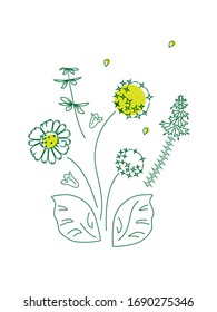 Vector illustration of Flowers, chamomile, bells, wildflowers.Spring summer floral pattern on a white background, poster, cover of the site, web page.