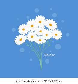 Vector illustration of flowers. Daisy. Bouquet. Daisy. Hand drawn. Isolated background.