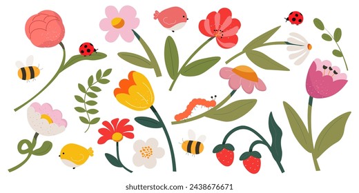 Vector illustration. Flowers, design elements, floral design. Spring flowers, summer flowers. Modern design.