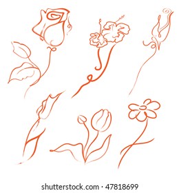 Vector illustration of flowers Design Set made with simple line only