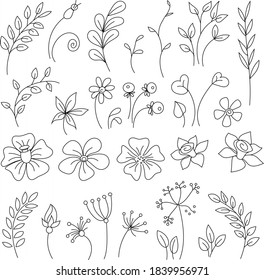 Vector illustration  flowers. Dudling. Coloring book anti stress for adults. Black and white.
