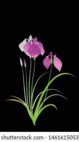 vector illustration of flowers, eps 10