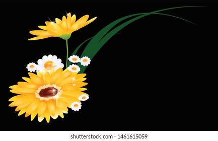 vector illustration of flowers, eps 10