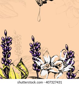 vector illustration flowers for essential oil - lavender, cananga, vanilla