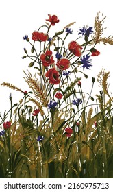 Vektorgrafik von Blumen im Garten auf weißem Hintergrund.