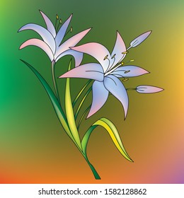 Vector Illustration of flowers in green background