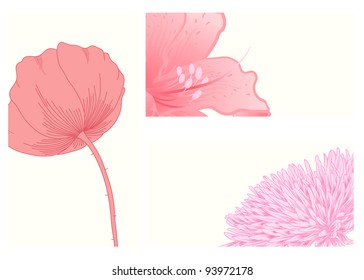 Vector illustration with flowers for greeting card.