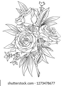 Vector illustration of flowers isolated on white background. Herbal illustration of beautiful inflorescences. Coloring wild and cultural flowers for adults