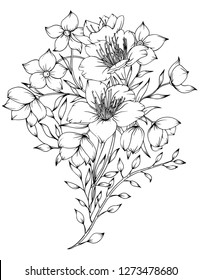 Vector illustration of flowers isolated on white background. Herbal illustration of beautiful inflorescences. Coloring wild and cultural flowers for adults