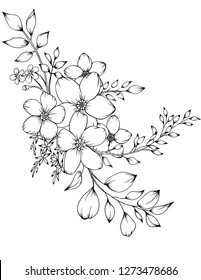 Vector illustration of flowers isolated on white background. Herbal illustration of beautiful inflorescences. Coloring wild and cultural flowers for adults