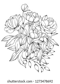 Vector illustration of flowers isolated on white background. Herbal illustration of beautiful inflorescences. Coloring wild and cultural flowers for adults