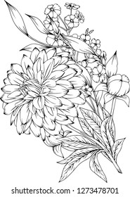 Vector illustration of flowers isolated on white background. Herbal illustration of beautiful inflorescences. Coloring wild and cultural flowers for adults