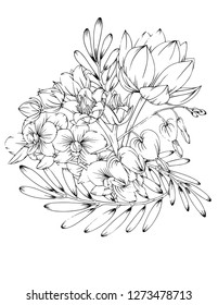 Vector illustration of flowers isolated on white background. Herbal illustration of beautiful inflorescences. Coloring wild and cultural flowers for adults