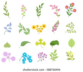 Vector illustration of a flowers and leafs set