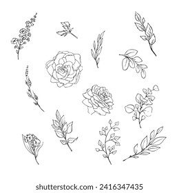 Vector illustration of flowers and leaves in doodle handdraw style