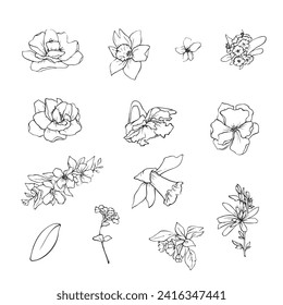 Vector illustration of flowers and leaves in doodle handdraw style