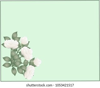 Vector illustration of flowers and leaves with space for text on a salad background