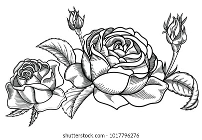 Vector illustration of flowers and leaves.Very detailed flowers in sketch style.Elegant floral decoration  for design.Elements of composition are separated in each group. Isolated on white background