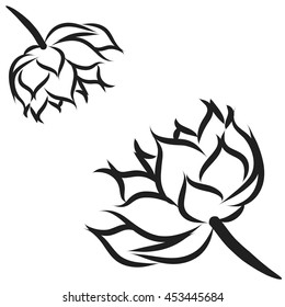 Vector illustration of flowers on a white background.