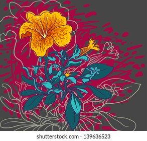 vector illustration of flowers of petunia