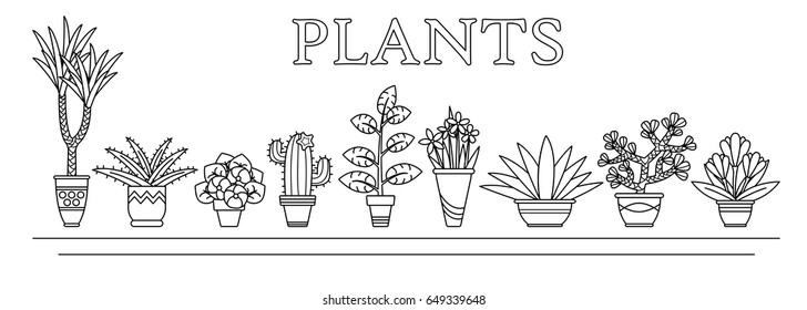 Vector illustration flowers and plants, succulent in vases in line style.