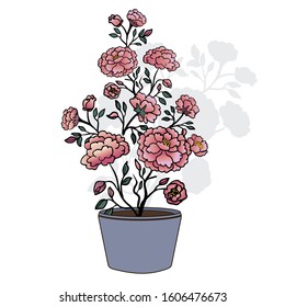 Vector illustration. flowers in a pot.