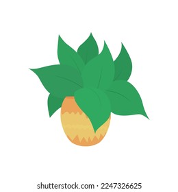 Vector illustration of flowers in pot or vase for a holiday, composition of plants and leaves. Decorative flat stylized in color. For design holidays, stickers, prints, advertisements, solo elements