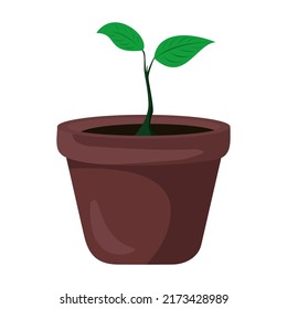 vector illustration of flowers in pots, plants in pots