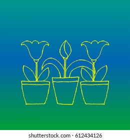 Vector illustration. Flowers in pots. Sketch in the style of children's drawings