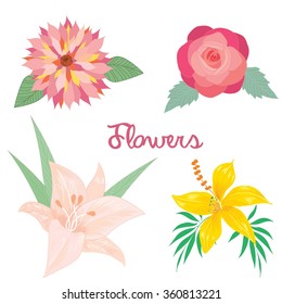 Vector illustration of the flowers rose lily and left on white background.