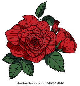 Vector illustration Flowers roses, red buds and green leaves. Set collection. Isolated on a white background. Ideal for paper and gift products.