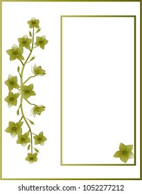 Vector illustration of flowers with a space for text on a white background