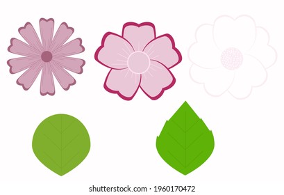 Vector illustration of flowers and their leaves. Varieties of violet, petunia, camellia, primrose.