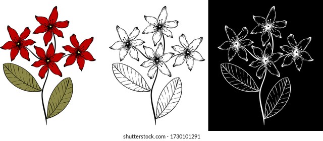 Vector illustration of flowers in three variants. Color pattern, black-and-white ornament, bouquet, clipart, isolated, print on clothes, summer element.