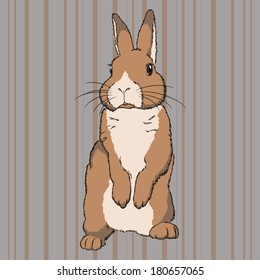 Vector illustration of fluffy brown beige standing rabbit on striped background