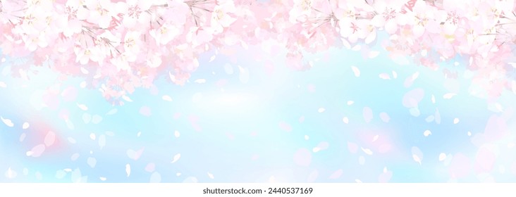 Vector illustration of fluffy cherry blossoms and spring blue sky