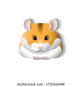 Vector illustration. Fluffy pet. Cute hamster.