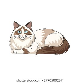 Vector illustration of a fluffy ragdoll cat lying down, beautiful longhaired feline with blue eyes, cartoon style