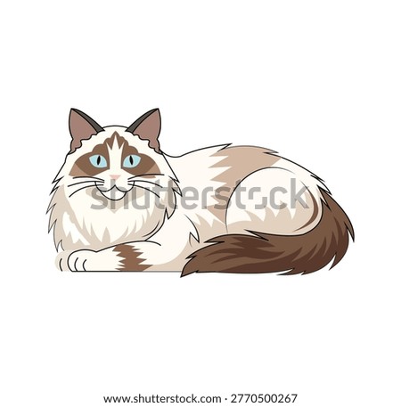 Vector illustration of a fluffy ragdoll cat lying down, beautiful longhaired feline with blue eyes, cartoon style