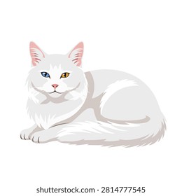 Vector Illustration of a Fluffy White Cat with Heterochromia Odd Eyes Isolated on White Background