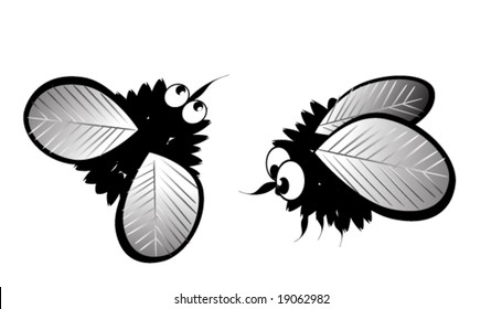 vector illustration of fly